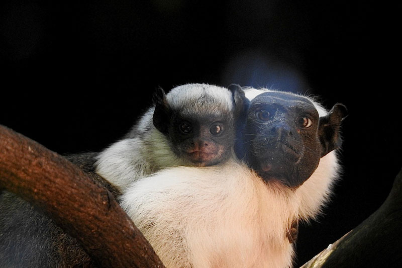 Imagem: Júlia Pitta